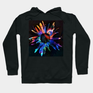 Abstract Rainbow Daisy Hoodie